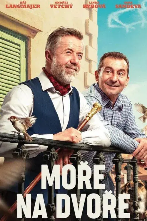 Poster for Moře na dvoře