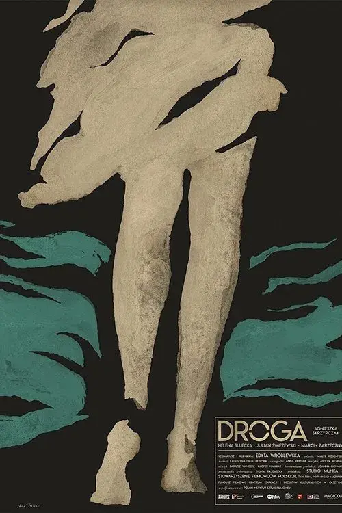 Poster for The Road