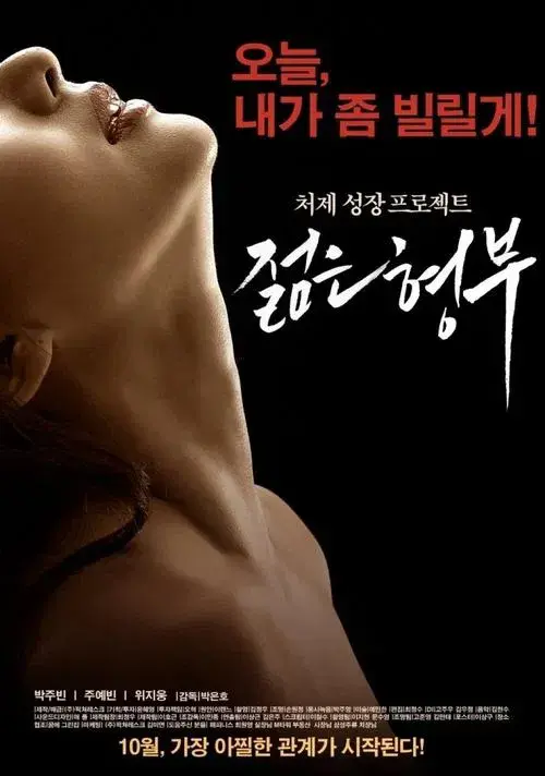 Poster for Sister's Younger Husband