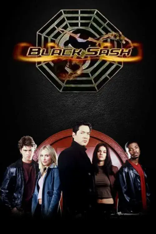 Poster for Black Sash