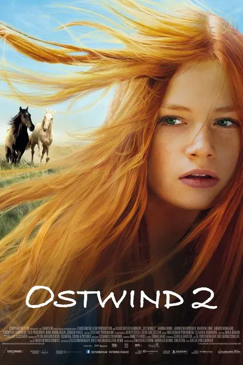 Poster for Windstorm 2