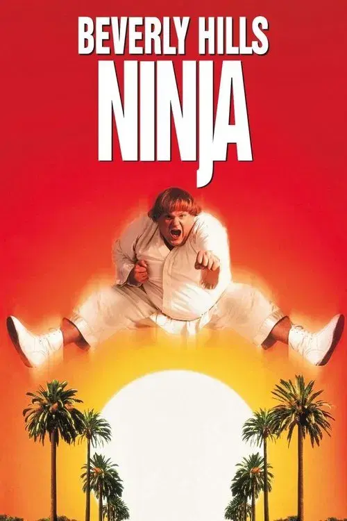 Poster for Beverly Hills Ninja