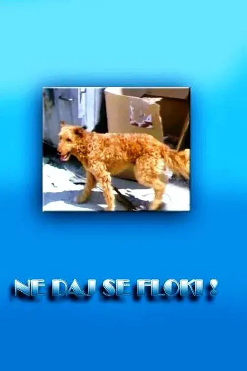 Poster for Don't Give in, Flockey!