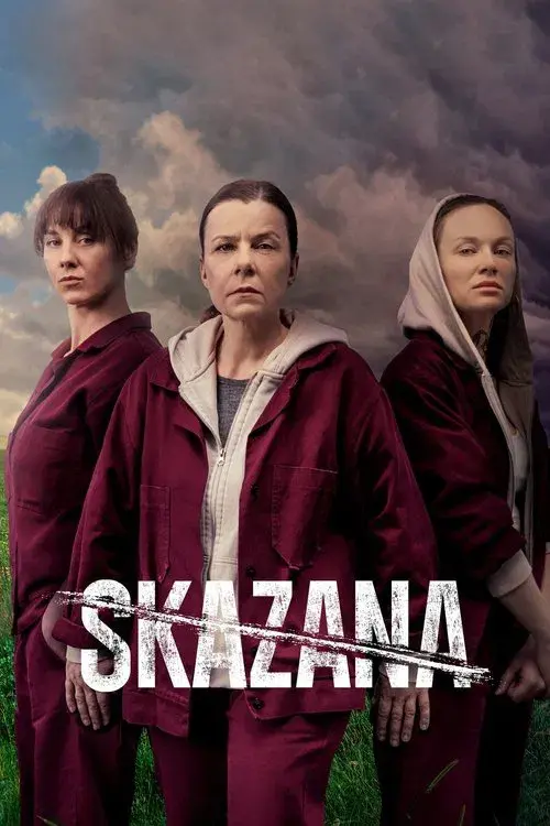 Poster for The Convict