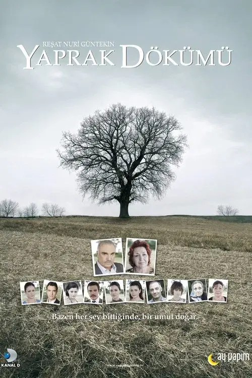 Poster for Falling Leaves